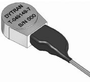 DYTRAN (dng)Ӌ(j)
