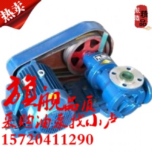 NCB-30/0.5P䓸ճD(zhun)ӱ