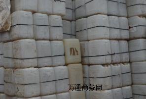 (yng)g蹸 늏S蹸ɢgЕ