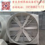 L(fng)C B(yng)ֳO(sh) ؓ(f)L(fng)C ȿB(yng)ֳL(fng)
