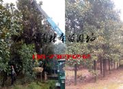 1213151618֏Vmr(ji)