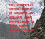 Ĵ֦(ni)GPS2ӷoW(wng)Sҡ߅·oW(wng)rrʯW(wng)