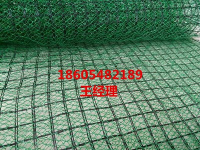 (yng)LɳSW(wng)|