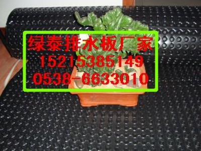 I܇ˮ//IֲݸS1521*53851