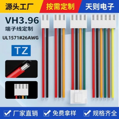 vh3.96Ӿ