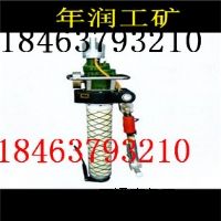 MQT(dng)^U@C(j)̓r(ji)