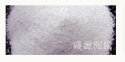 Vݴ猣r |猣̿