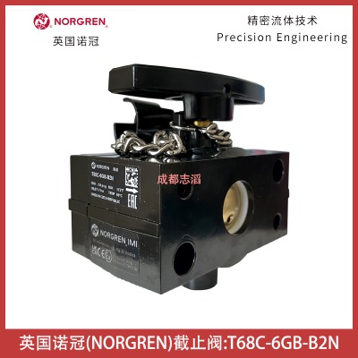 t68c-6gb-b2nӢZڽֹynorgren՚̎