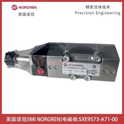 sxe9573-a71-00Ӣnorgren늴y
