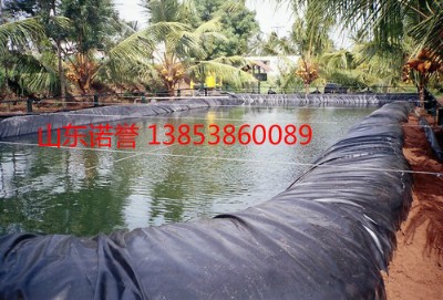 QhdpeBĤҎ(gu)̖Rȫ