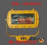 BFC8110_(D)
