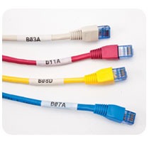 brady ؐϹI(y)(bio)ӡCpr600