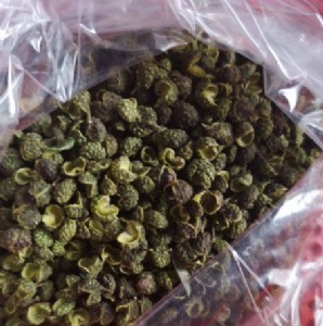 SAɻų_(ki)ڵăr(ji)