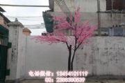 ٘ѻ~҃(ni)ѻӆ ʥ^