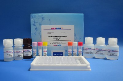 REAGENEALSEzyԇ`șzy~r