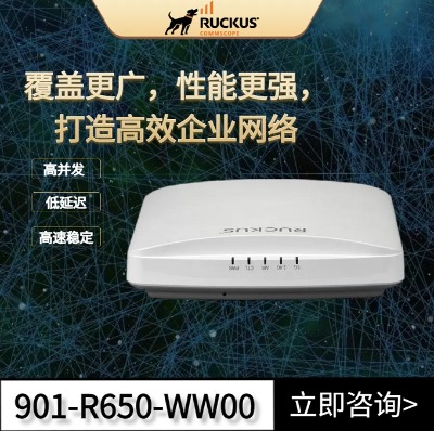 ruckuso(w)ap (yu)r650҃(ni)wifi6·