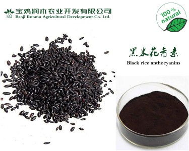 ȡﻨ25W(bio)