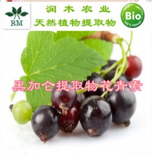 ڼӁȡﻨ25W