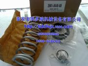 cc102954637946638ǸgdSSް