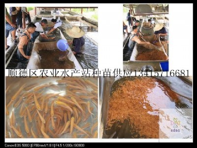 (yng)~硢_˹~~ˮ