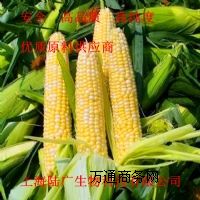 ձĠIB(yng)턩