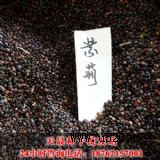 (yng)쳿GNӃr(ji)(D)