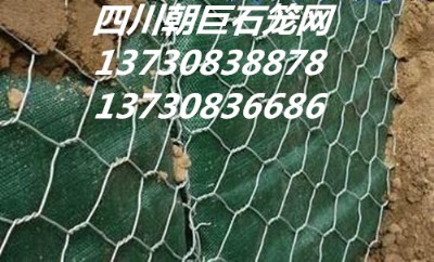 ʯ\W(wng)eW(wng)ߠʯ\W(wng)·o(h)W(wng)ӽˉ|l(f)
