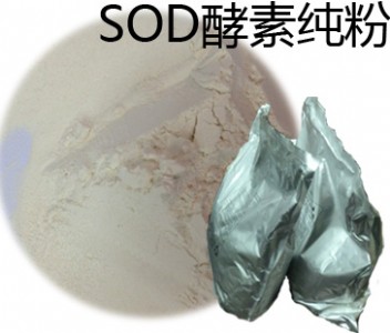 (yng)_(ti)M(jn)SODؼ