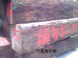 KݼtľMڈP(gun)