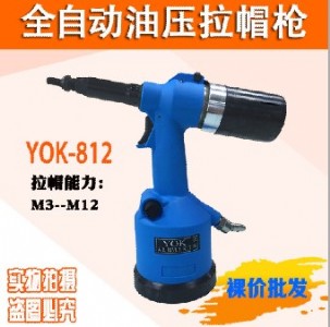 (yng)ȫԄӚñ Tĸ T yok-812