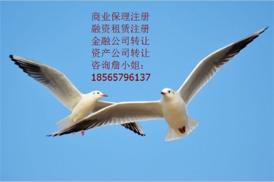 YU˾ע(c)lʹ?xing)l