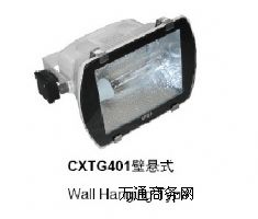 һwͶCXTG401