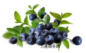ԴF(xin)؛(yng)oӄɫȻ{(ln)ݮ֭