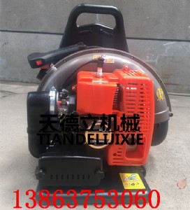 eb650ؓ(f)ʽL(fng)C(j) ɭL(fng)C(j) @ִѩC(j)S