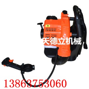 eb808ؓ(f)ʽL(fng)C(j) ·ѩC(j) ʜC(j)S