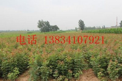 1Ǘ-15Ǘ