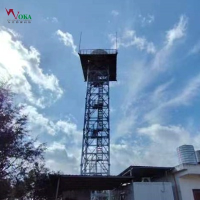 _ 20׷WwS ͸ͱ