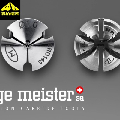 hSerge Meister(do)׿xPTFEͿӌ(do)