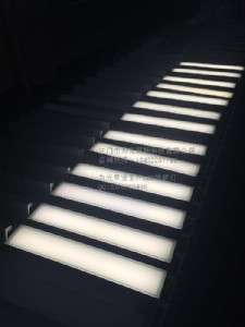 ledLε