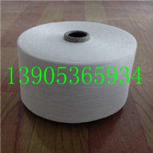 (yng)z(ji)8֧16֧g100z301
