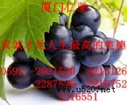 VCcӘ(bio)(zhn) VCc|(zh)