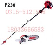 ´Ap-230p-231֦