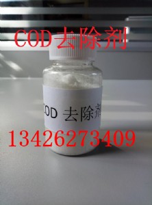 codȥa(chn)S҃r񌍻