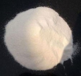 (yng)㽭ݰʯʯӡݰʯ