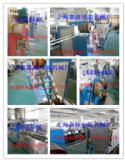 (yng)һ(yu)|(zh)PPa(chn)CM(D)