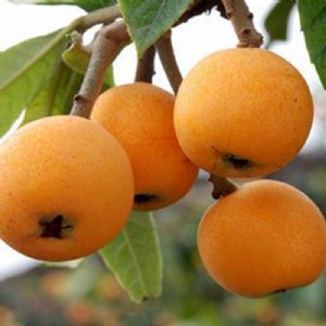 a(chn)繩