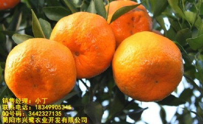 ĴۣĴa(chn)Ĵc