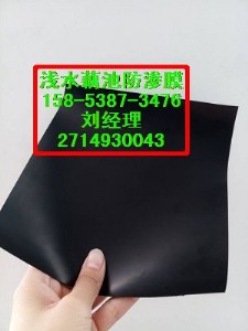 (yng)ݡˮa(chn)B(yng)ֳ0.5mmBĤr
