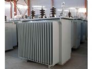 ׃S11-50/1010/0.4KV