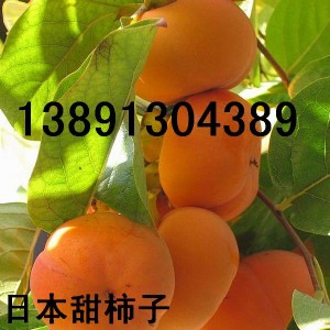 Ӄr(ji)Xl(f)Ӯa(chn)ձӴk